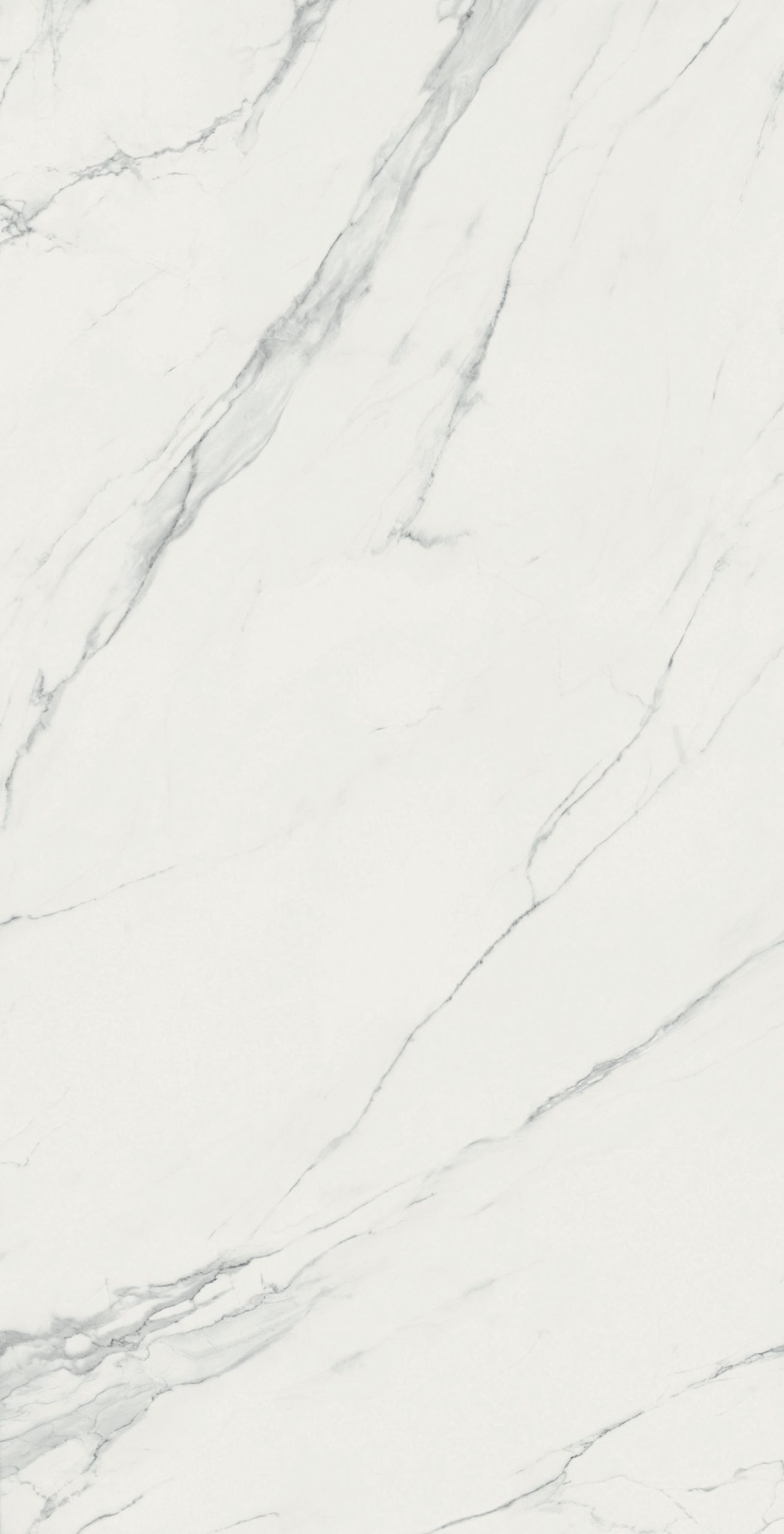 Calacatta Gris porcelanska ploča 12mm