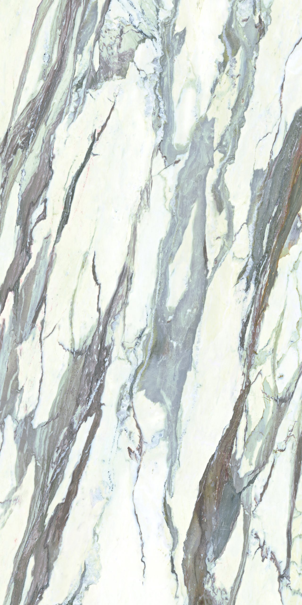 Calacatta Masterpiece porcelanska ploča