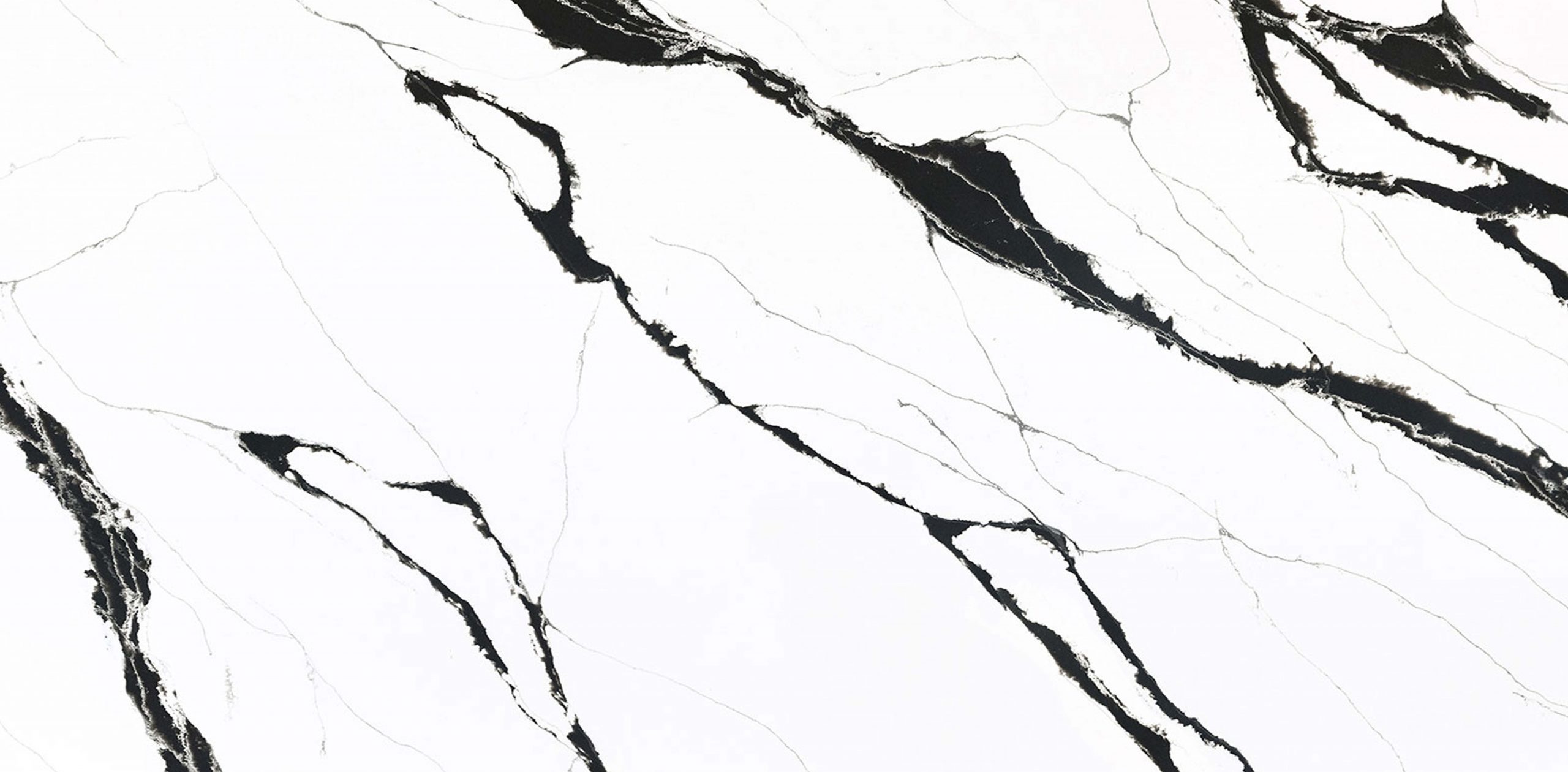 Unique Calacatta Black